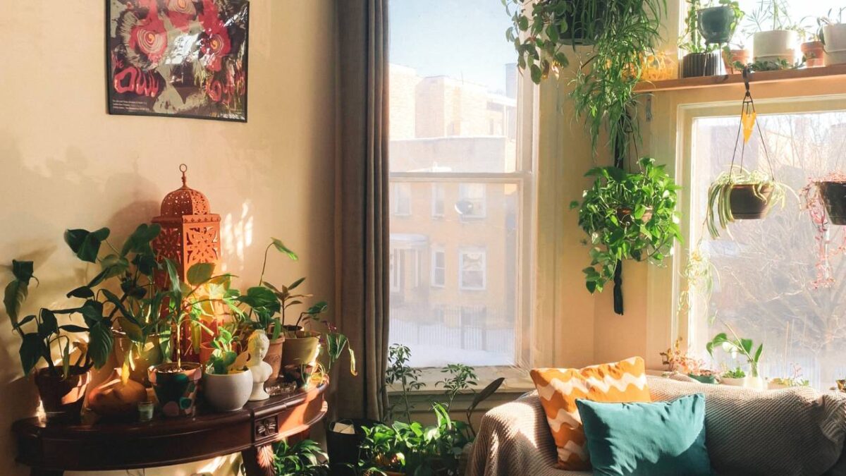 An apartment corner with a large window and many plants