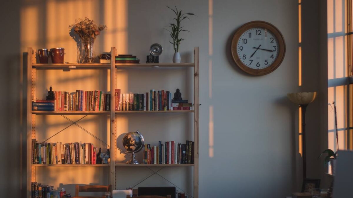 A shelf full of books in a shadowy apartment 