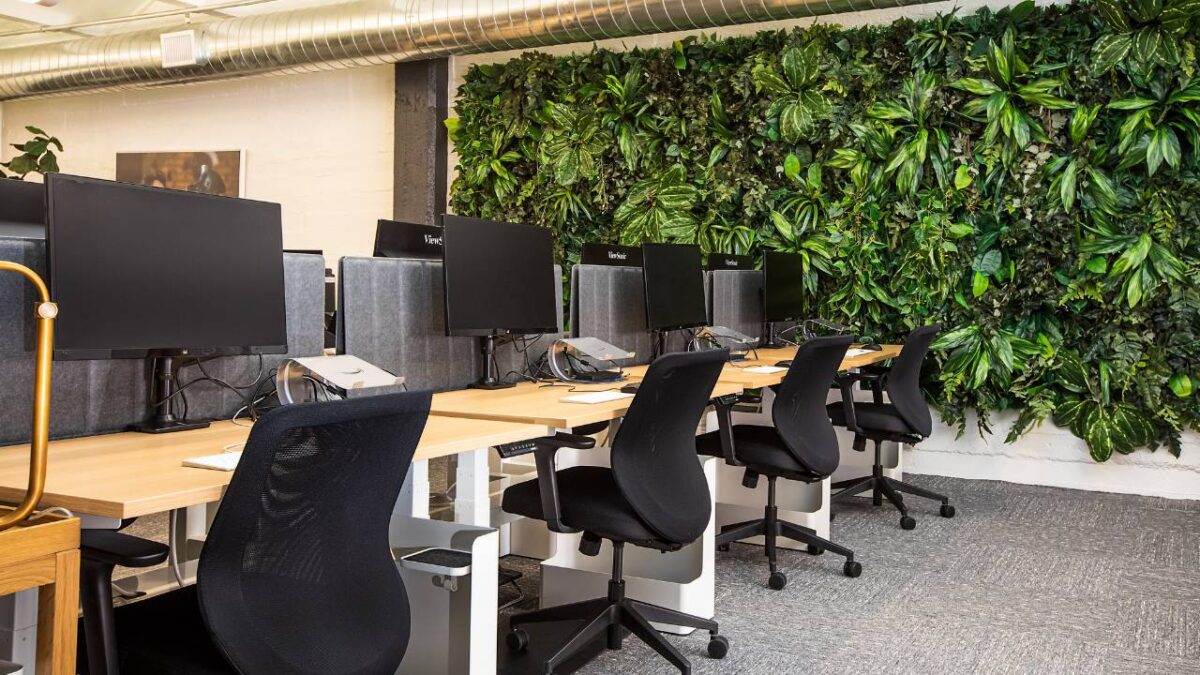 Green wall and computer workstations in a modern office