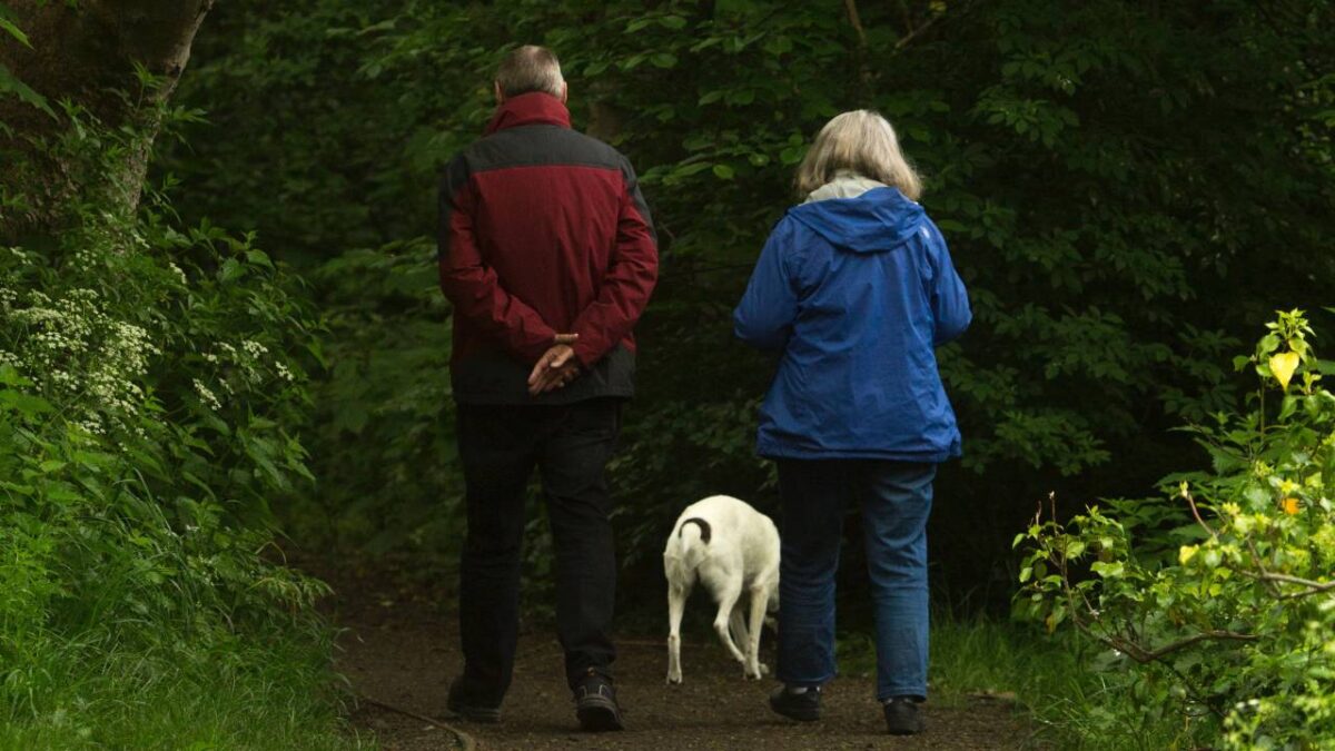 Two older people taking a walk in the woods