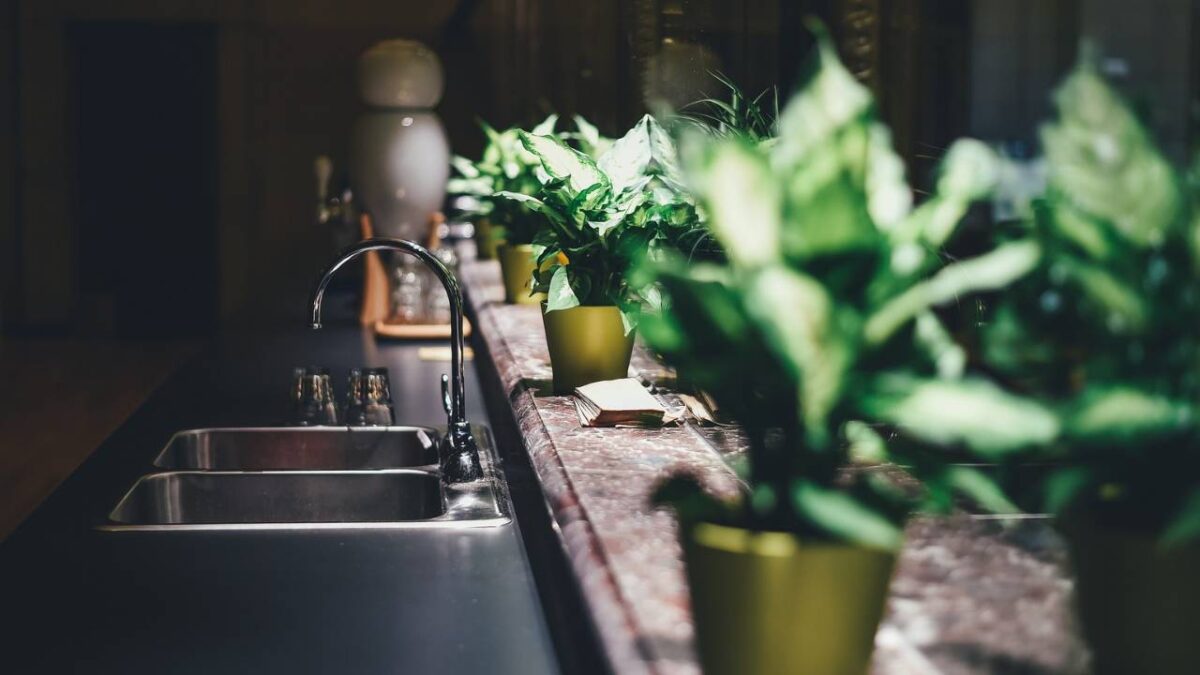 A retro kitchen sink with a couple of potted plants