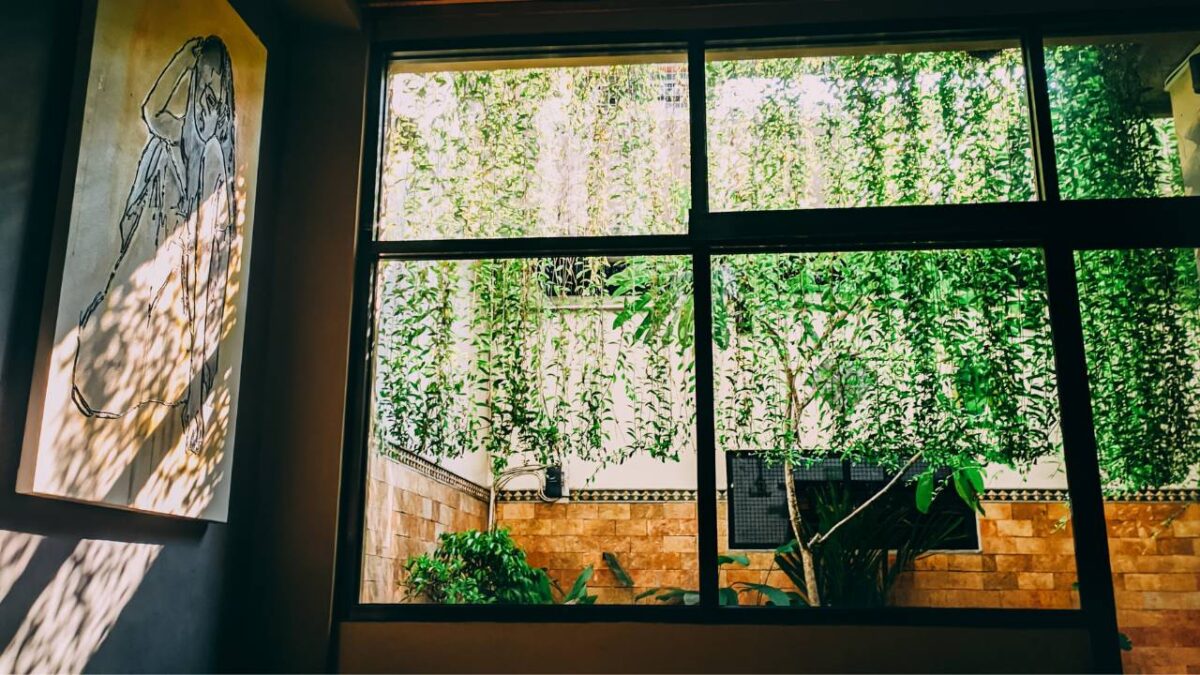 Lush green plants seen through a large window