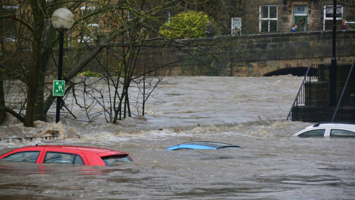 Several automobiles in a flood
