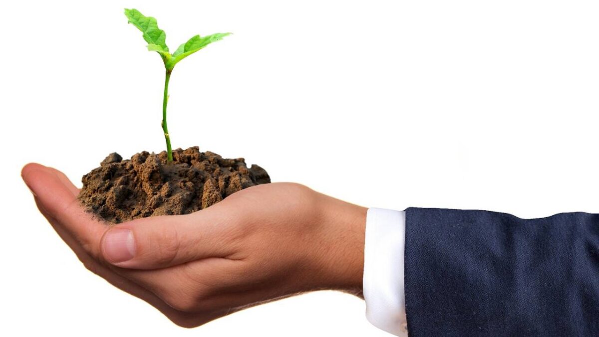 Designing sustainable business growth: energy-efficient practices for Irish enterprises