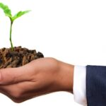 Designing sustainable business growth: energy-efficient practices for Irish enterprises