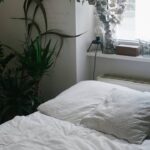 How to choose the right contract bed for your care home
