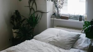 How to choose the right contract bed for your care home